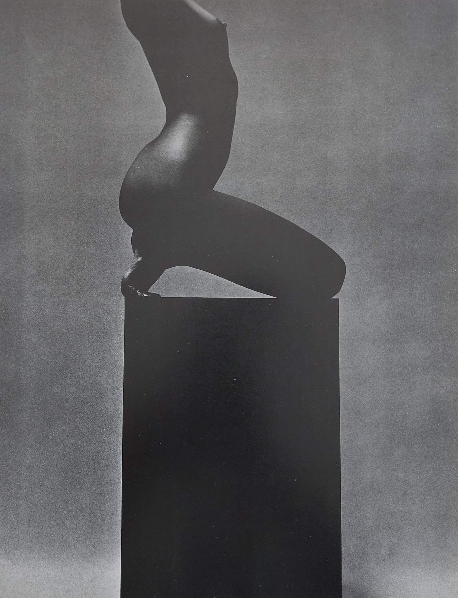 Victor Skrebneski, 'Beuatiful forever' 1989: Artist/Photographer: Victor Skrebneski Title/Subject: Beuatiful forever Type Of Print: Authentic Sheet Fed Photogravure/Heliogravure. Date Of Print: 1989 Paper: Medium weight, satin/matte finish. Prin