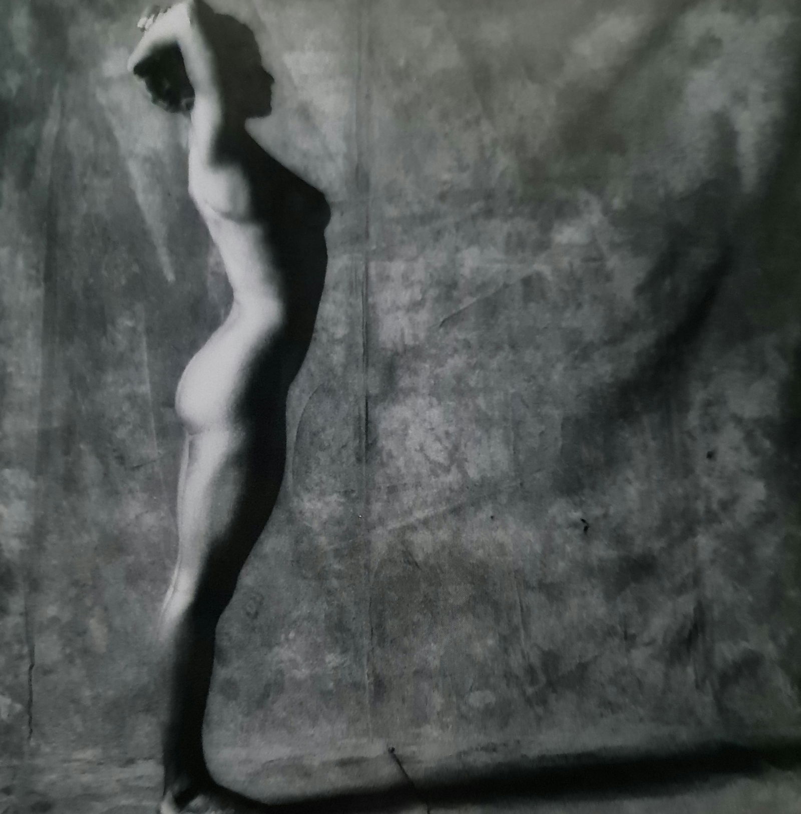 Robert Mapplethorpe, Lisa Lyon with shadow: Photographer: Robert Michael Mapplethorpe (1946-1989) was an American photographer, best known for his black-and-white photographs. His work featured an array of subjects, including celebrity portrait