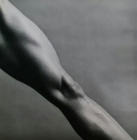 Robert Mapplethorpe, Lisa Lyons leg