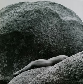 Robert Mapplethorpe, Lyon on the rocks