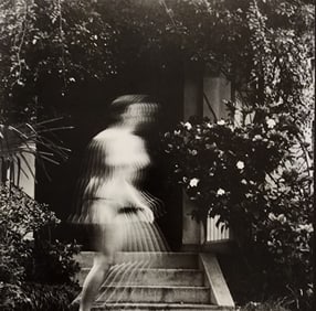 Hideki Fujii Master Photography Set