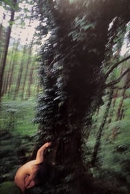 Hideki Fujii Master Photography Set