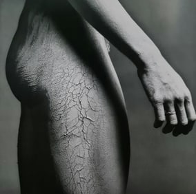 Robert Mapplethorpe, Lisa Lyon side, 1983