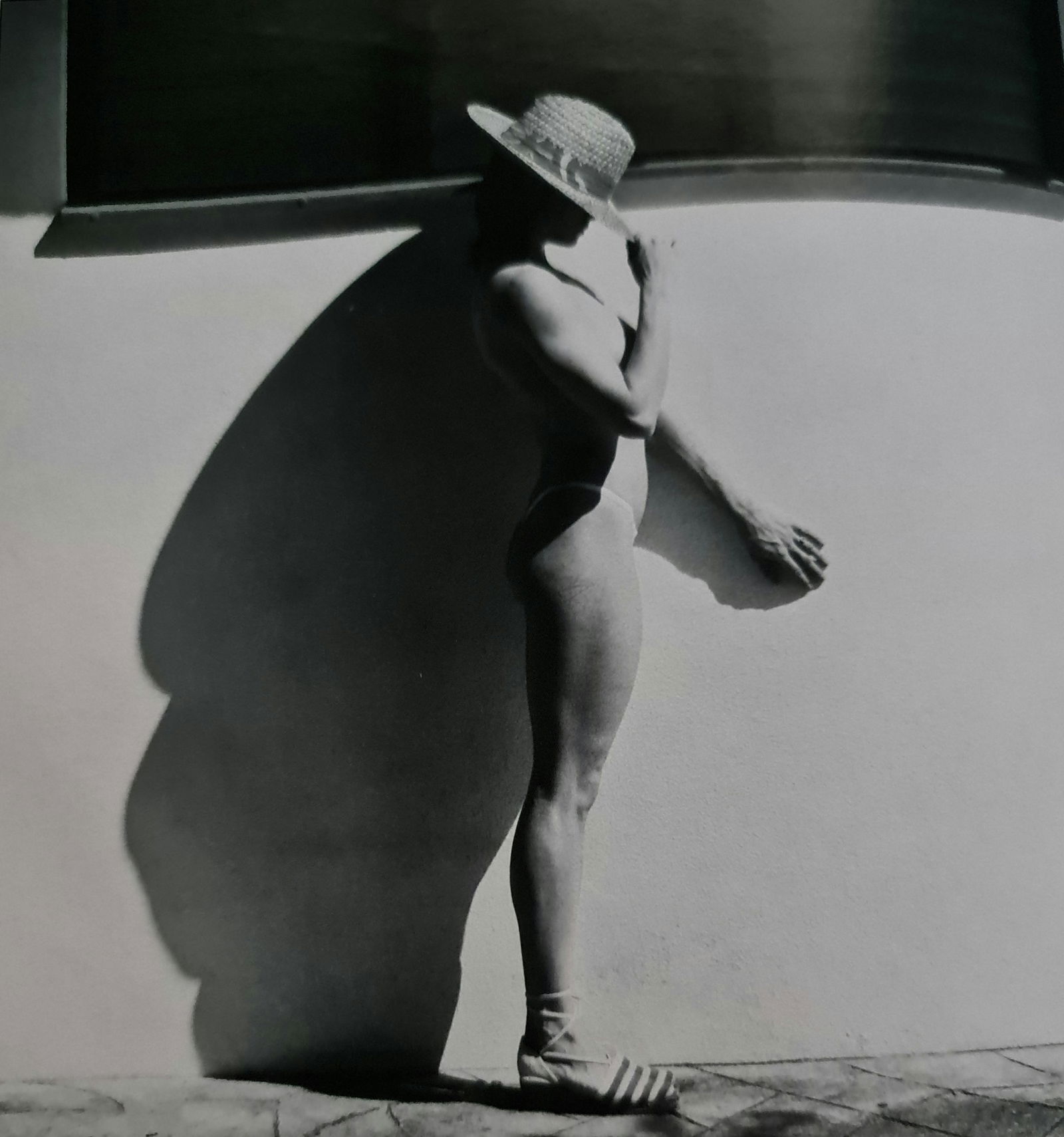 Robert Mapplethorpe, Lisa Lyon topless: Photographer: Robert Michael Mapplethorpe (1946-1989) was an American photographer, best known for his black-and-white photographs. His work featured an array of subjects, including celebrity portrait