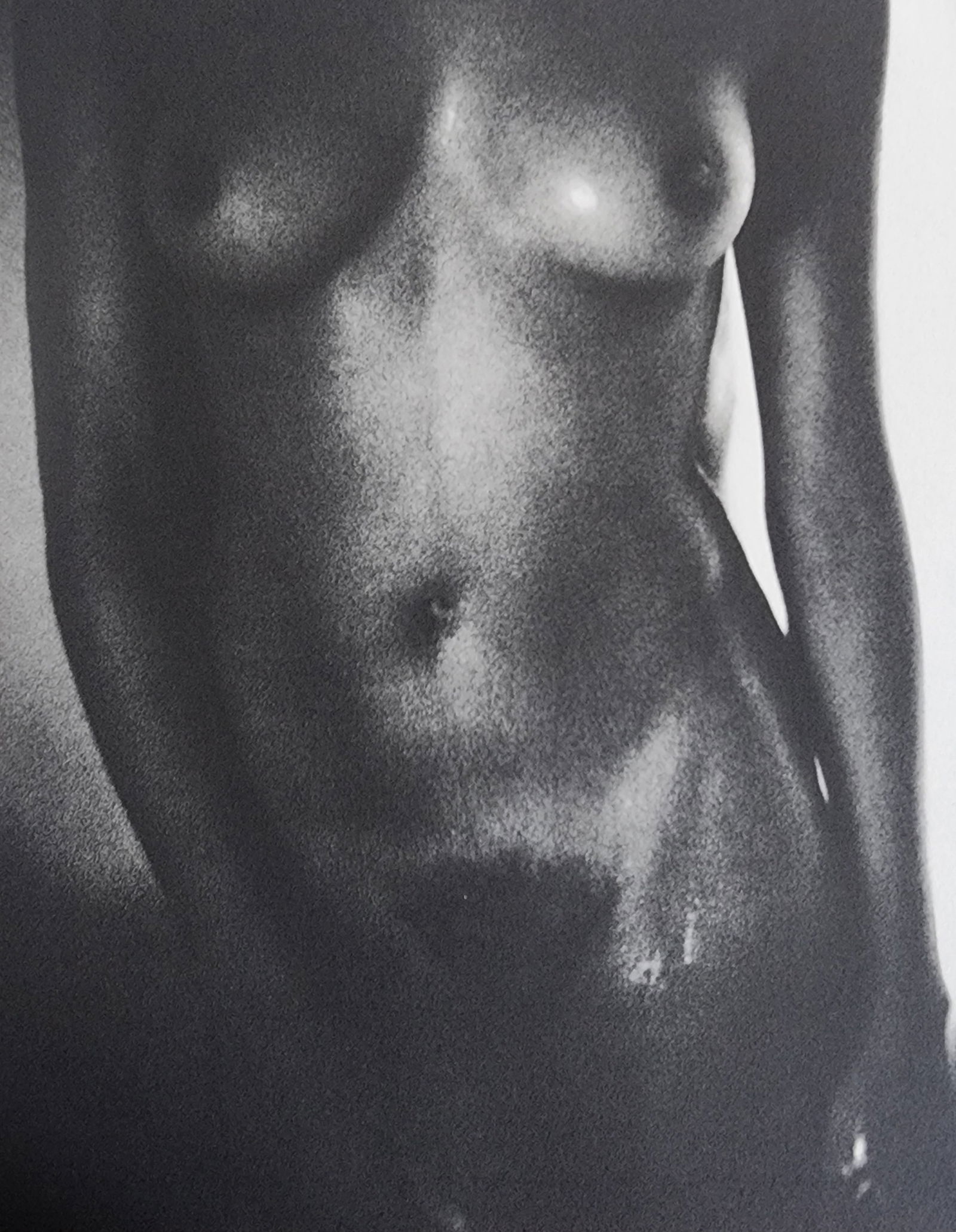 Sante D'Orazio, Celebrities nudes 1st Edition, 2000 (1 of 1)
