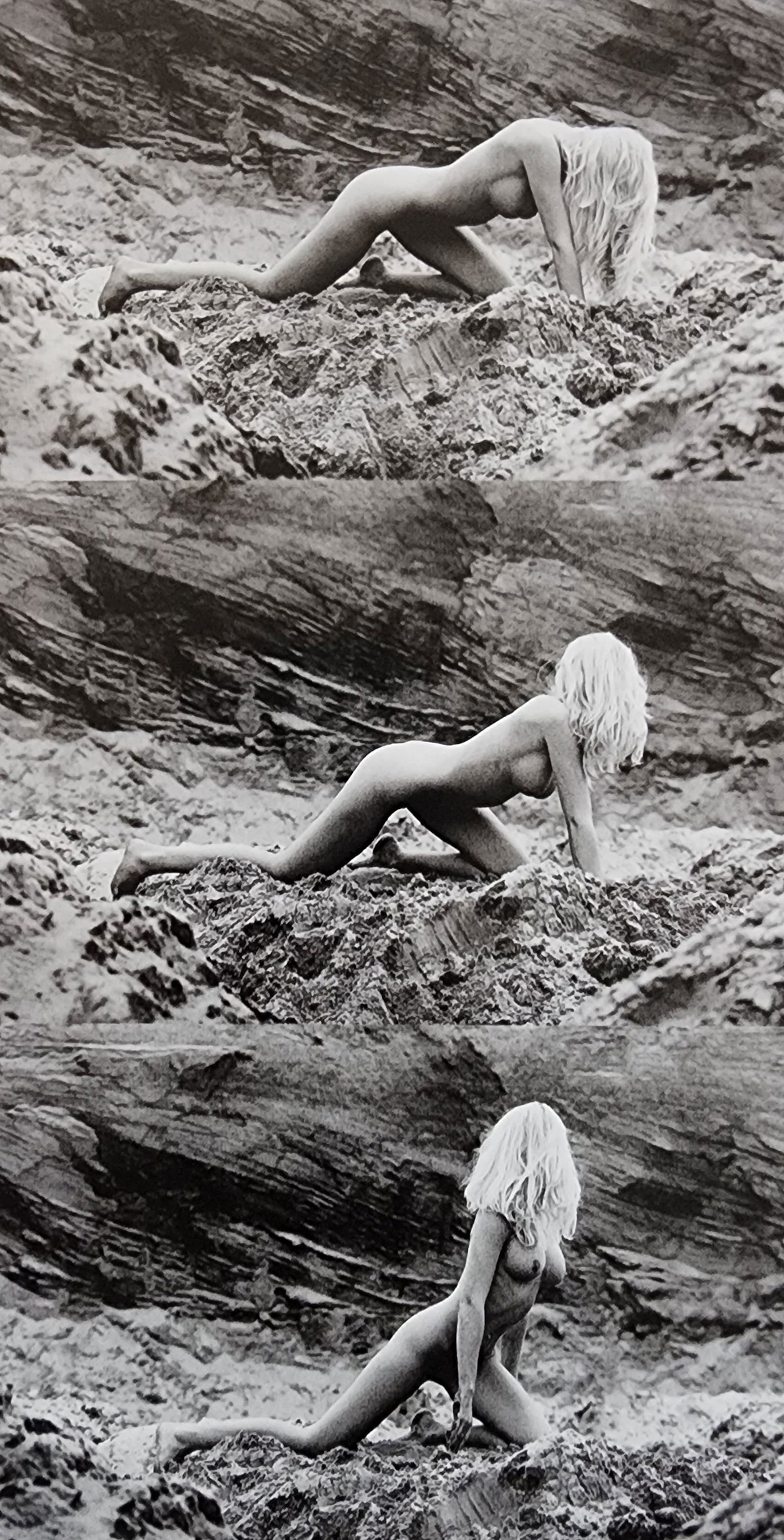 Blondes have more fun by Michelle Olley, 2002: Artist/Photographer: Michelle Olley Title/Subject: Blondes have more fun Type Of Print: Authentic Sheet Fed Photogravure/Heliogravure. Date Of Print: 2002 Paper: Medium weight, satin/matte finish. Pri