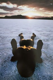 The art of nude photogrphy, 1985