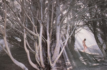 The art of nude photogrphy, 1985