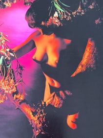 3D Nude photography, 2004