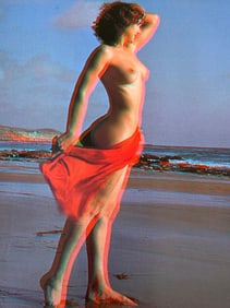 3D Nude photography, 2004