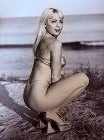 Ian Gittler, Top Models - 1999
