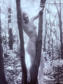 Stan Trampe 'In the Shadows' 1998