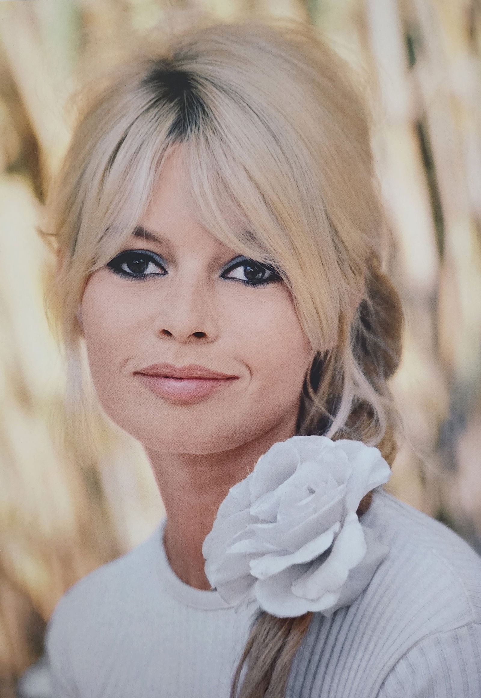 Brigitte Bardot 'My Life in Fashion' 2019: Artist/Photographer: Brigitte Bardot: Brigitte Anne-Marie Bardot, born September 28, 1934, is a former French actress, model, singer, and animal rights activist. A major sex symbol of the 1950s and 19