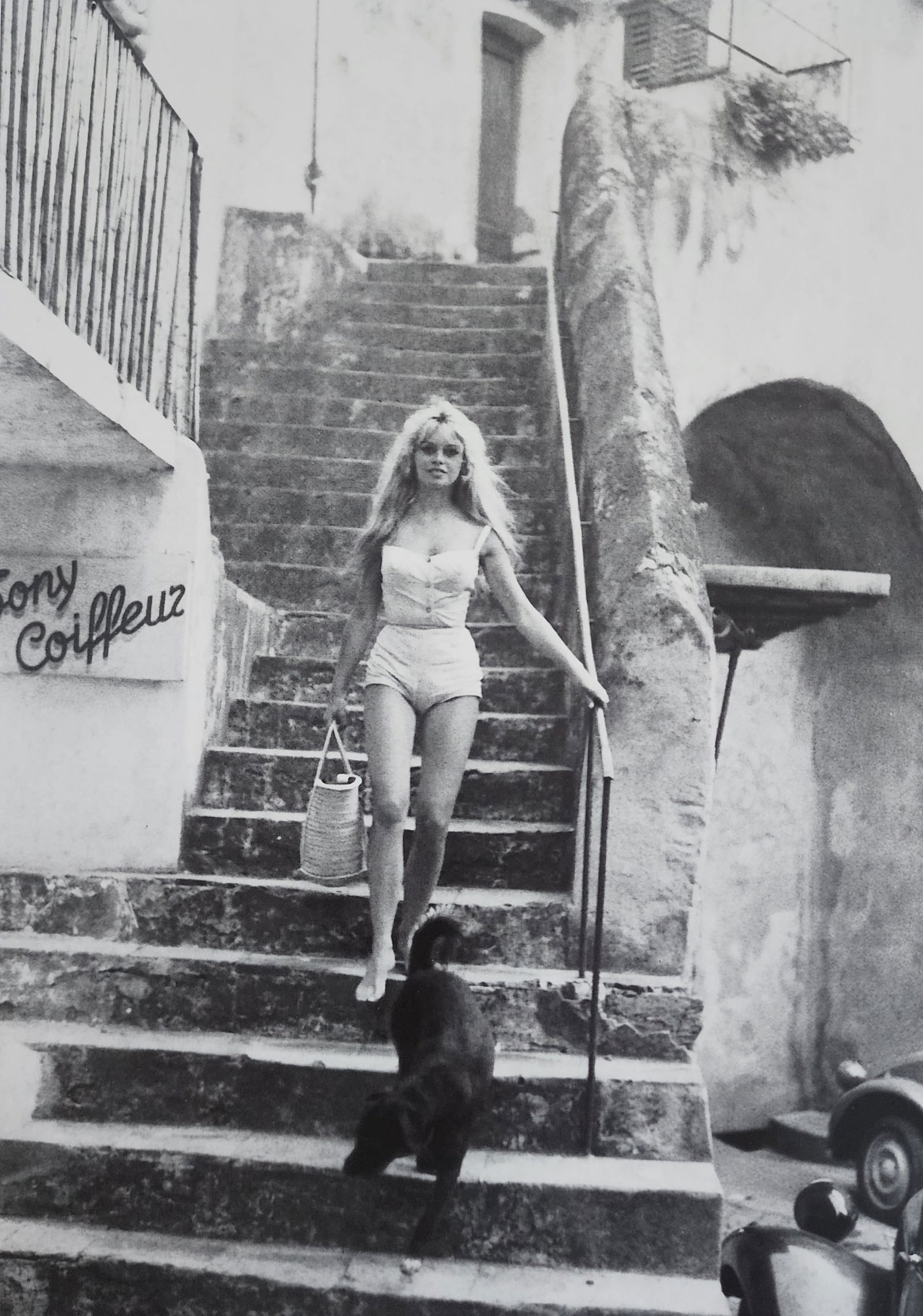 Brigitte Bardot 'My Life in Fashion' 2019: Artist/Photographer: Brigitte Bardot: Brigitte Anne-Marie Bardot, born September 28, 1934, is a former French actress, model, singer, and animal rights activist. A major sex symbol of the 1950s and 19