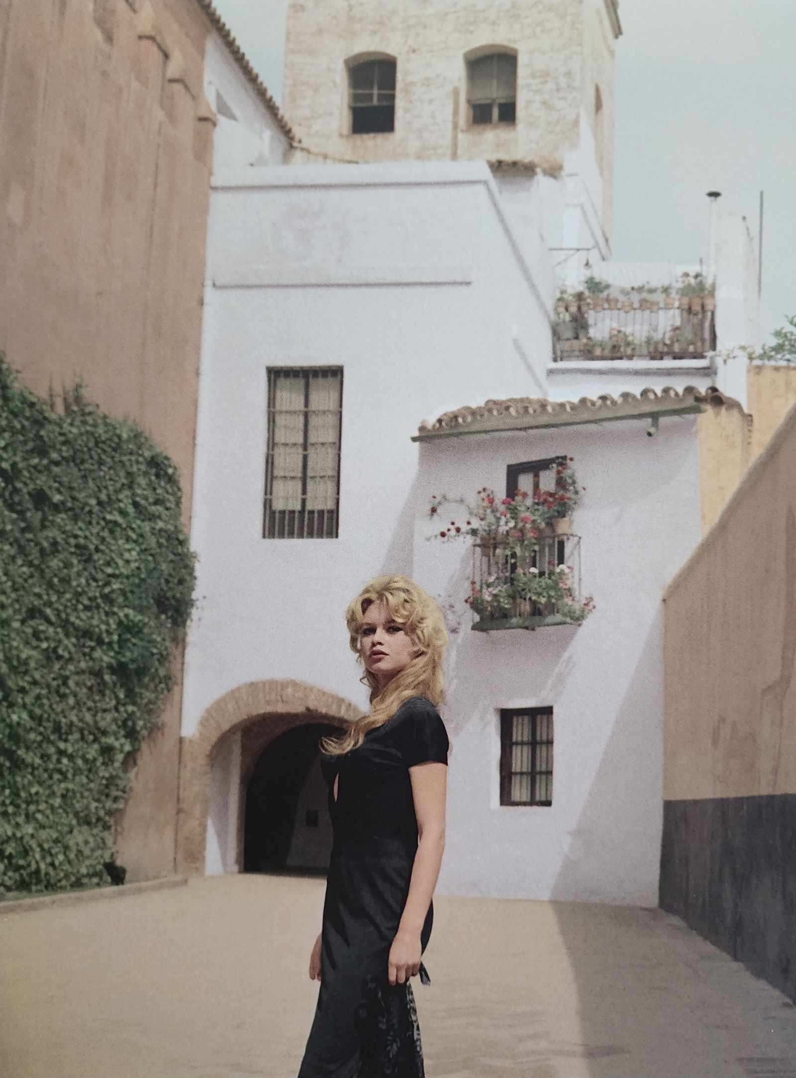 Brigitte Bardot 'My Life in Fashion' 2019: Artist/Photographer: Brigitte Bardot: Brigitte Anne-Marie Bardot, born September 28, 1934, is a former French actress, model, singer, and animal rights activist. A major sex symbol of the 1950s and 19