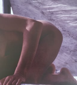 Brigitte Lahaie 'Eternal Beauty' 2024