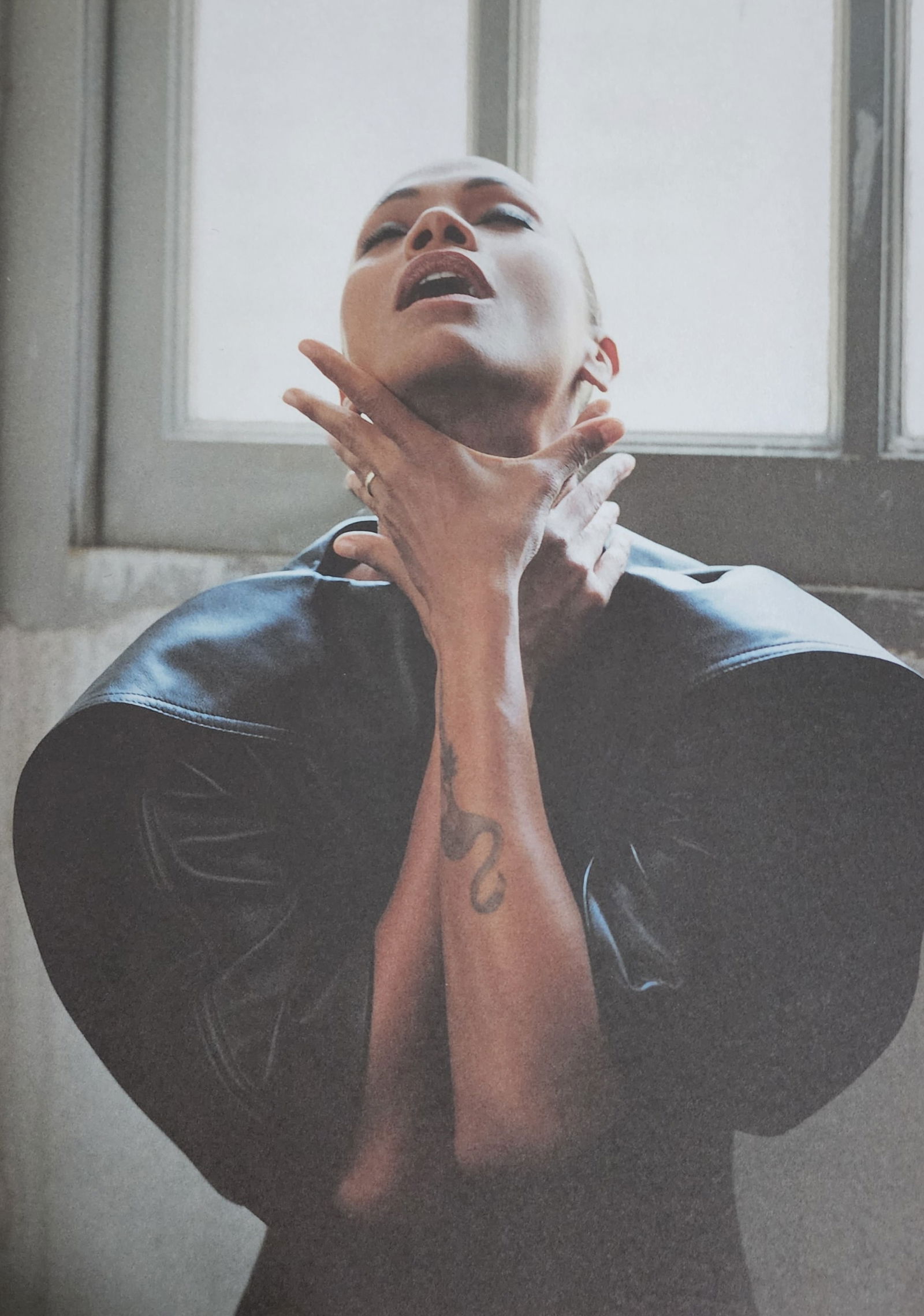 Angelina Jolie & Friends, Love and Fantasies, 2024 (1 of 1)