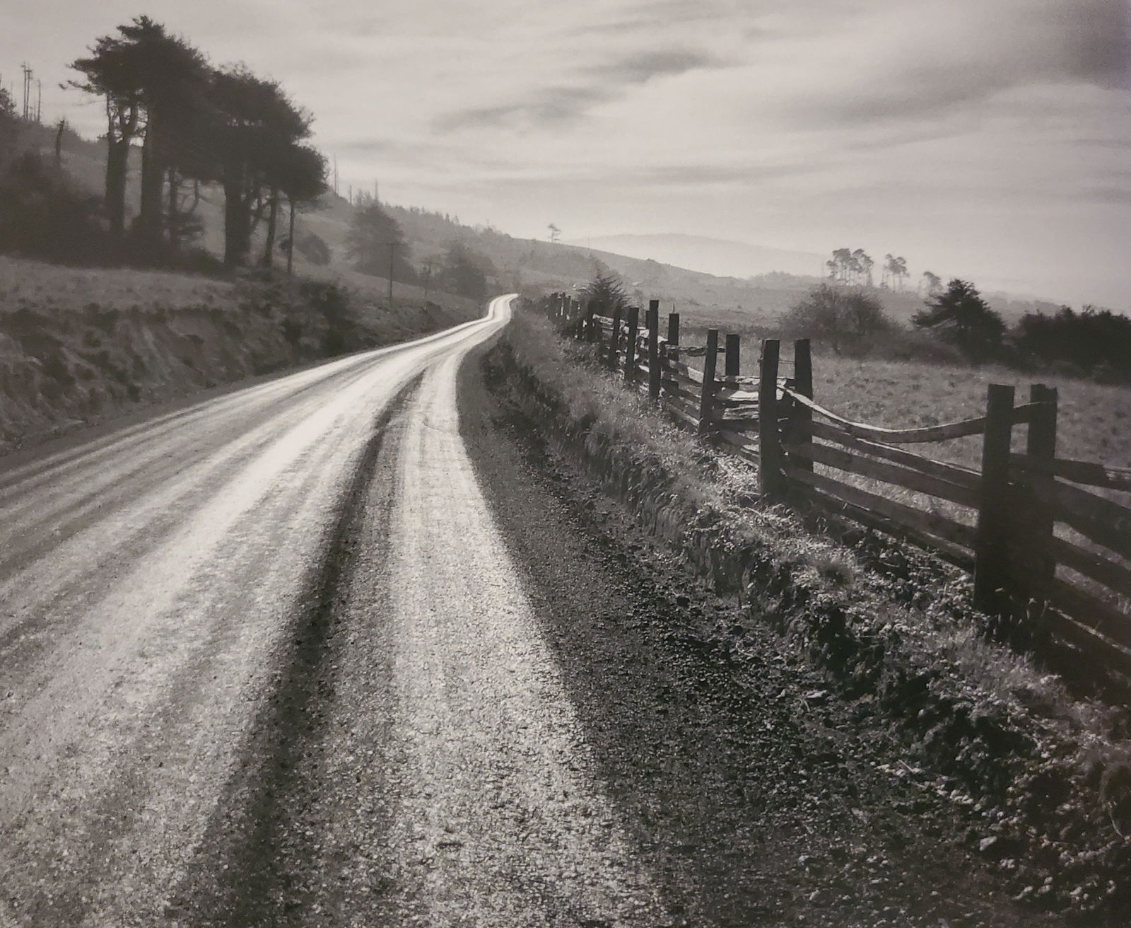 Ansel Adams, Road after Rain, Northern California, 1959 (1 of 1)