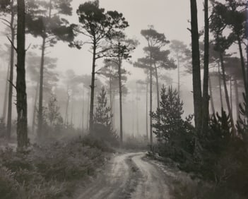 Ansel Adams, Road and Fog, Del Monte Forest, Pebble Beach, California, 1964
