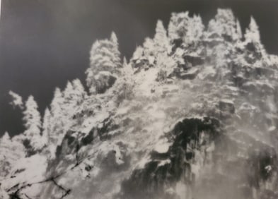 Ansel Adams, Rock Face and Trees in Winter, Yosemite National Park, California, 1928