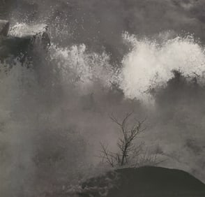 Ansel Adams, Shrub and Rapids, Merced River, Yosemite National Park, California, C. 1960