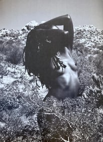 Victor Hernandez, Graceful Nudes, 2011