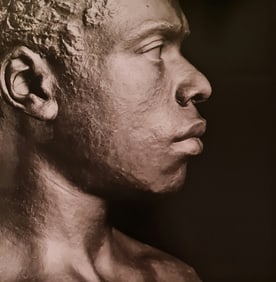 Robert Mapplethorpe, Black Bust, 1988