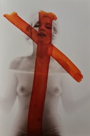 Bert Stern, Marilyn Monroe photo crossed out by Marilyn