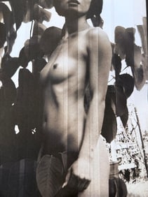 Victor Hernandez, Graceful Nudes, 2011