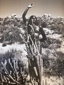 Victor Hernandez, Graceful Nudes, 2011
