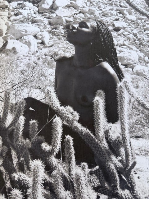 Victor Hernandez, Graceful Nudes, 2011 (1 of 1)