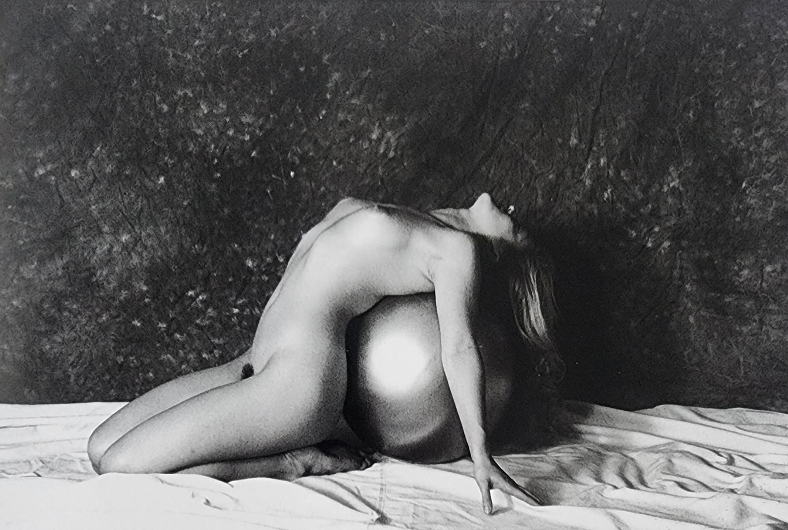 Elegant Nudes and Models, 1995 (1 of 1)