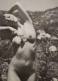 Andre de Dienes , Nudes, 1973