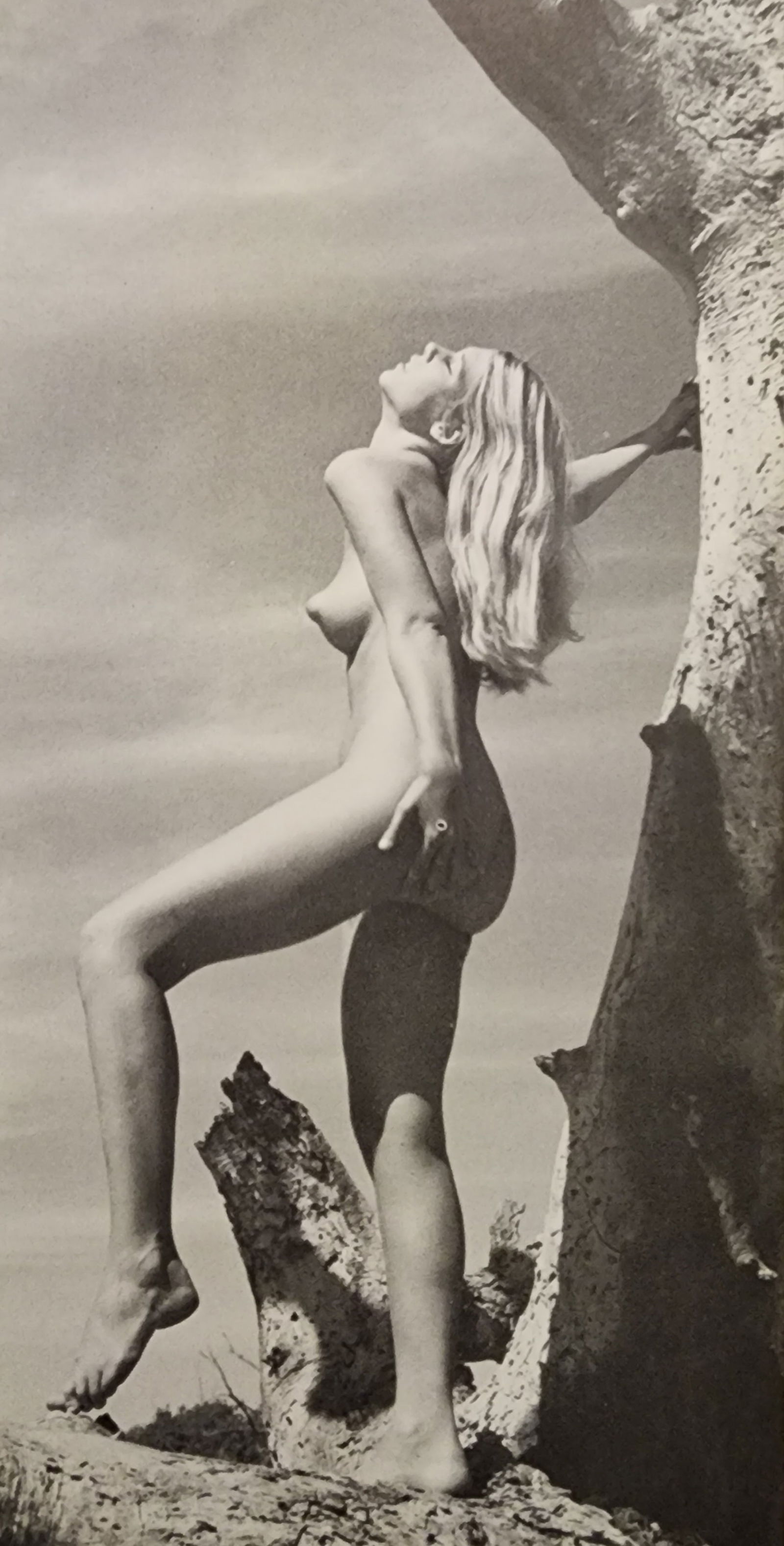 Andre de Dienes , Nudes, 1973 (1 of 1)