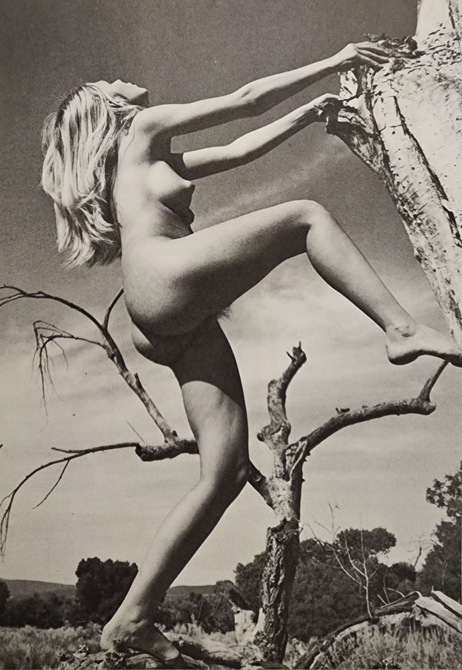 Andre de Dienes , Nudes, 1973: Artist / Photographer: Andre de Dienes Title/Subject: Vintage Artistic Nudes, 1973 Condition: Extra Fine - Excellent Type Of Print: Authentic Sheet Fed Photogravure/Heliogravure. Paper: Medium weight,