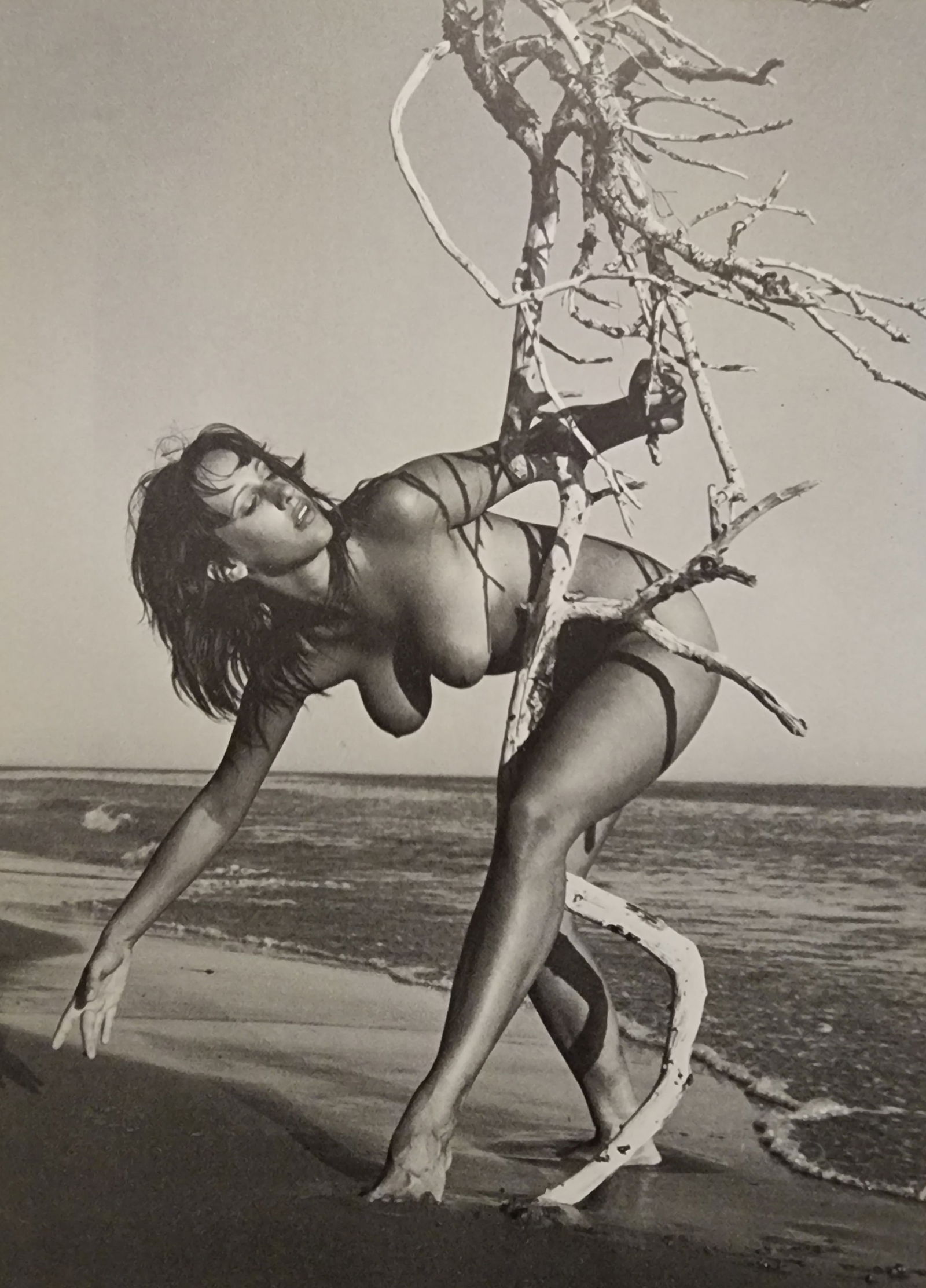 Andre de Dienes , Nudes, 1973 (1 of 1)