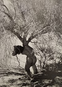 Andre de Dienes , Nudes, 1973