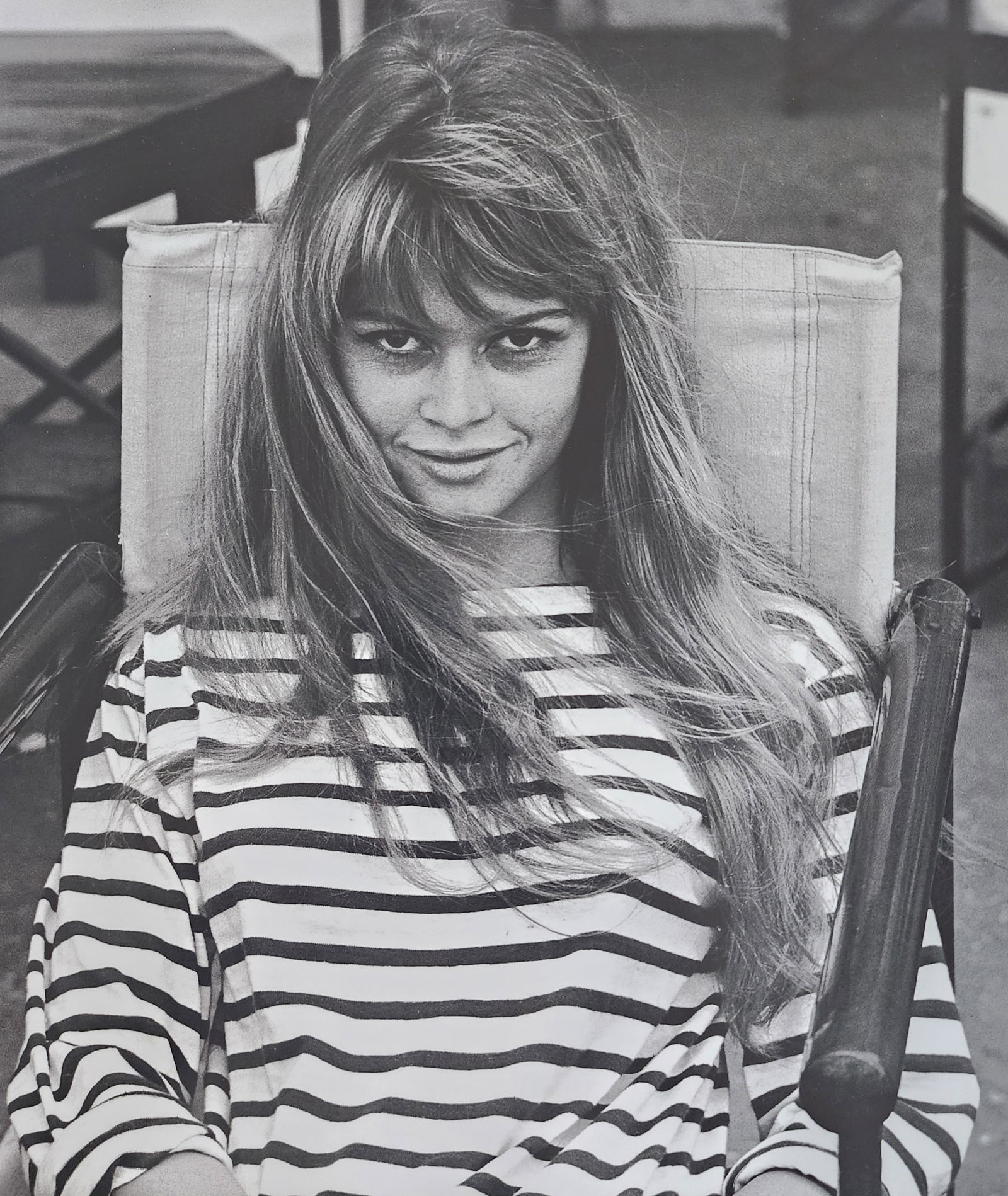 Brigitte Bardot, Beautiful Forever, 2014 (1 of 1)