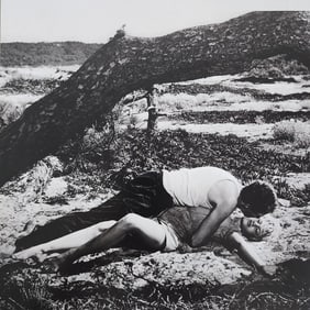 Brigitte Bardot, Beautiful Forever, 2014