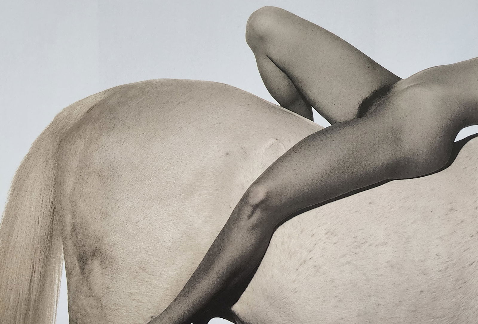 Erotique Masterpiece, 1998: Artist/Photographer: Man Ray, Marconi, Agelou, Y. Park, E. Weston, G. Riebicke, R. Koppitz, Manasse, H.P. Horst, N. Parkinson, Bill Brandt..... Title/Subject: Erotique Masterpiece Type Of Print: Authe