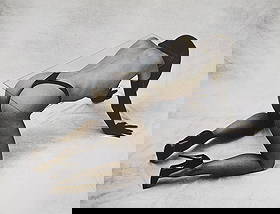 Erotique Masterpiece, 1998: Artist/Photographer: Man Ray, Marconi, Agelou, Y. Park, E. Weston, G. Riebicke, R. Koppitz, Manasse, H.P. Horst, N. Parkinson, Bill Brandt..... Title/Subject: Erotique Masterpiece Type Of Print: Authe