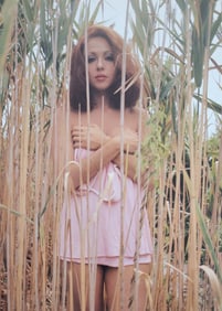 Tad Wakamatsu, Haruko Wanibuchi, 1998