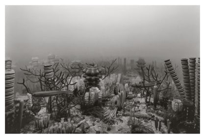 Hiroshi Sugimoto, Permian Period, 1992, Limited Edition Of 360
