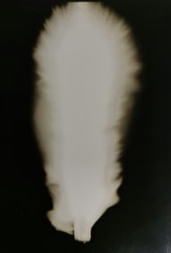 Hiroshi Sugimoto, In Praise of shadows, 980818