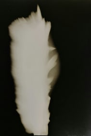 Hiroshi Sugimoto, In Praise of shadows, 980807