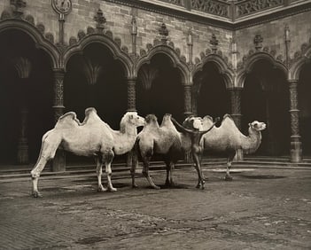 Marc Lagrange, The Herder, 2000's