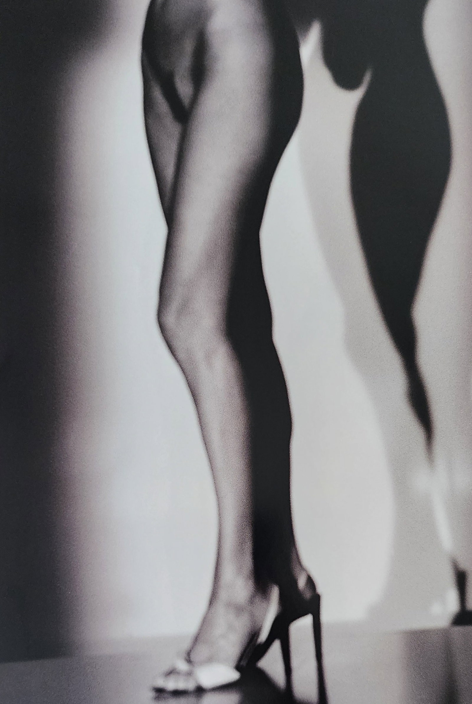 Alina Reyes, Nude Female Models, 2005: Artist/Photographer: Alina Reyes Title/Subject: Nudes Female Model Type Of Print: Authentic Sheet Fed Photogravure/Heliogravure. Date Of Print: 2005 Paper: Medium weight, satin/matte finish. Print Ori