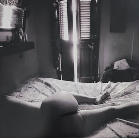 Alina Reyes, Nude Female Models, 2005