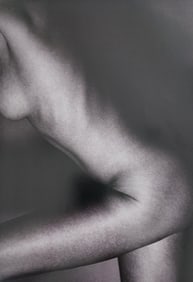 Alina Reyes, Nude Female Models, 2005