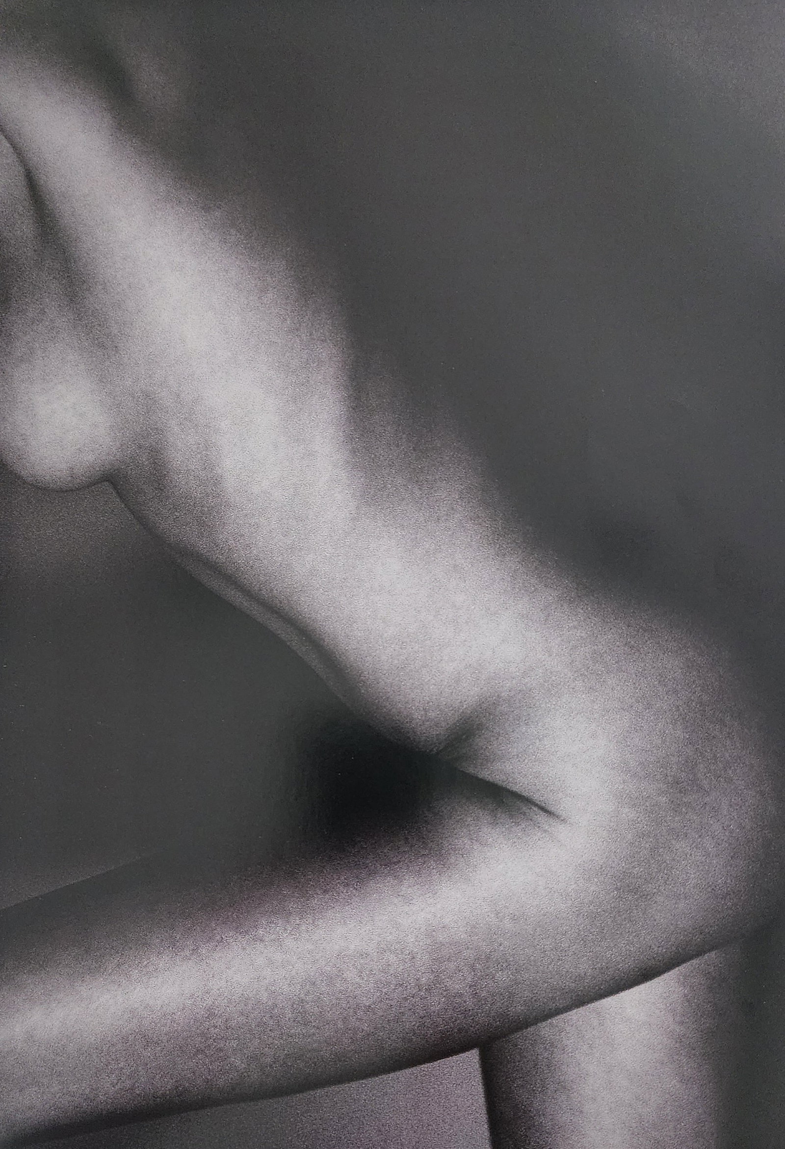 Alina Reyes, Nude Female Models, 2005: Artist/Photographer: Alina Reyes Title/Subject: Nudes Female Model Type Of Print: Authentic Sheet Fed Photogravure/Heliogravure. Date Of Print: 2005 Paper: Medium weight, satin/matte finish. Print Ori